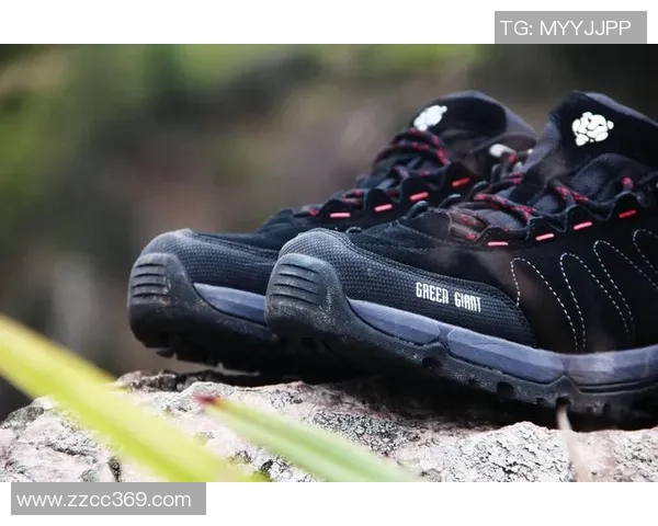 深入探讨上海攀岩队战术对比及其在比赛中的应用与效果分析