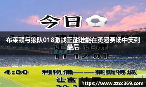 布莱顿与狼队018激战正酣谁能在英超赛场中笑到最后